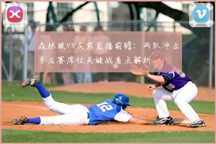 森林狼vs灰熊直播前瞻：两队冲击季后赛席位关键战看点解析