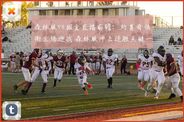 森林狼vs掘金直播前瞻：约基奇领衔主场迎战 森林狼冲击连胜关键一役