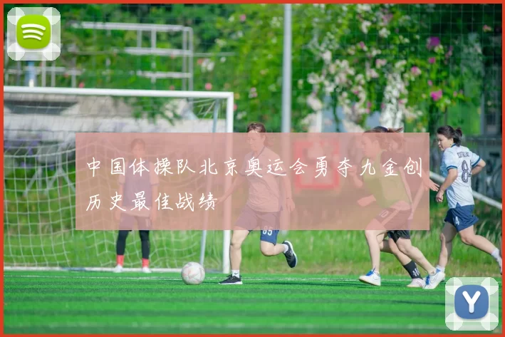 中国体操队北京奥运会勇夺九金创历史最佳战绩